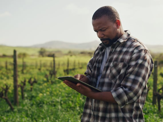 man working on a field with a tablet image 一个拿着平板电脑的人在田里干活