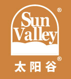 访问太阳谷网站。