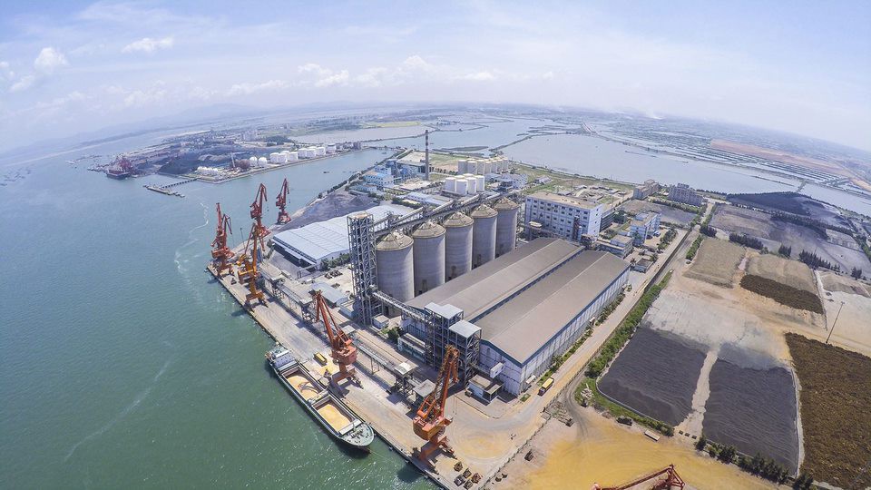 关于嘉吉中国，你可能不知道的50件事雷竞技app下载官方版iso雷竞技手机版安卓下载
